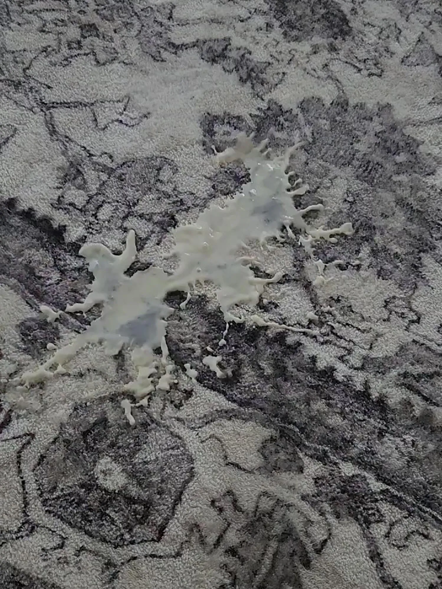 Calliope Grey and Ivory Distressed Washable Rug *NO RETURNS UNLESS FAULTY