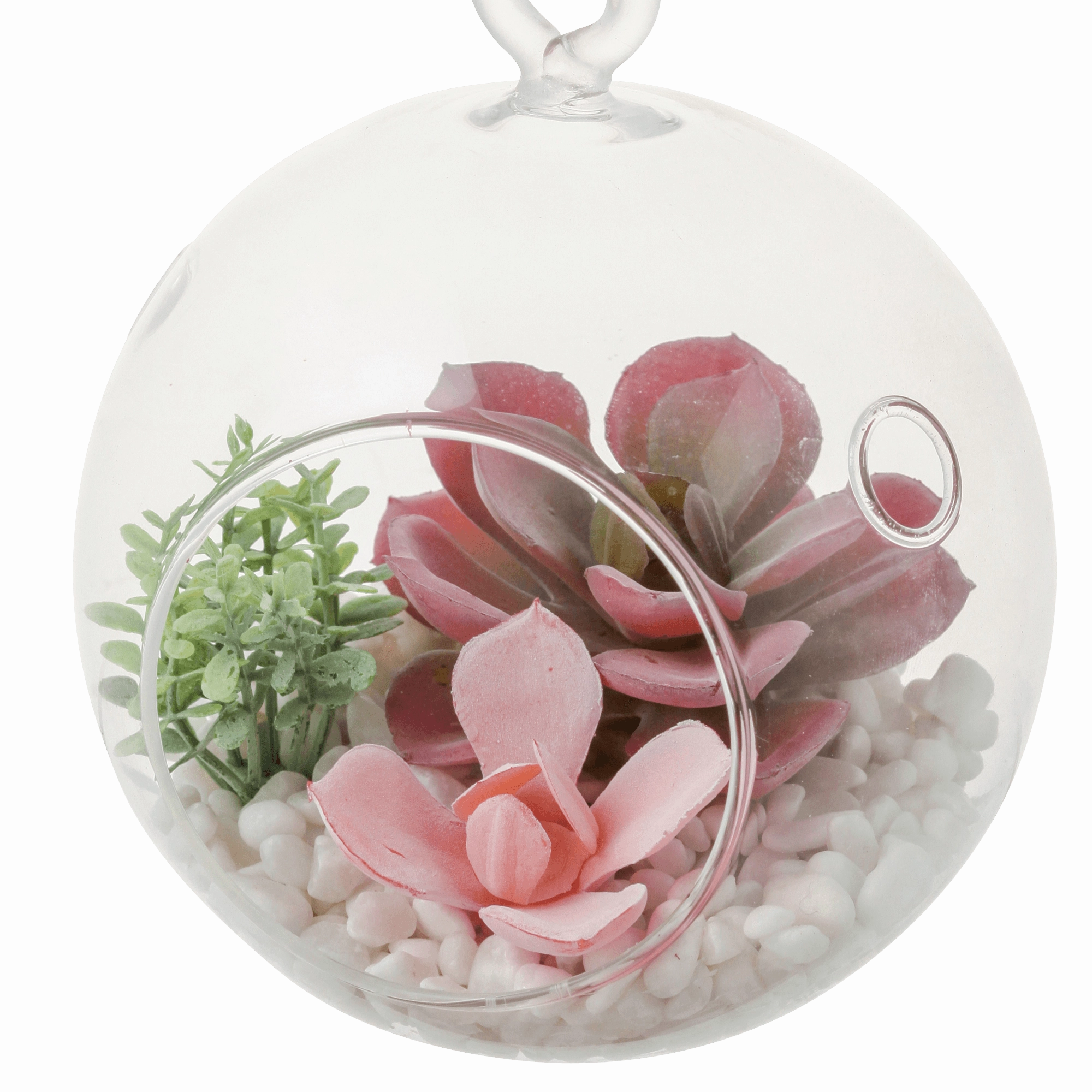 Caro Object Succulent Pot Pink