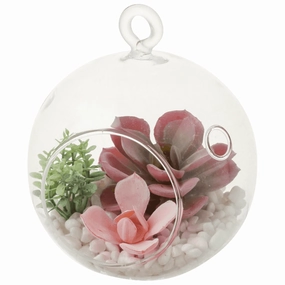 Caro Object Succulent Pot Pinkhome decor ,wall decor 