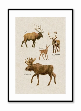 Cervids, Posterpop culture themed posters