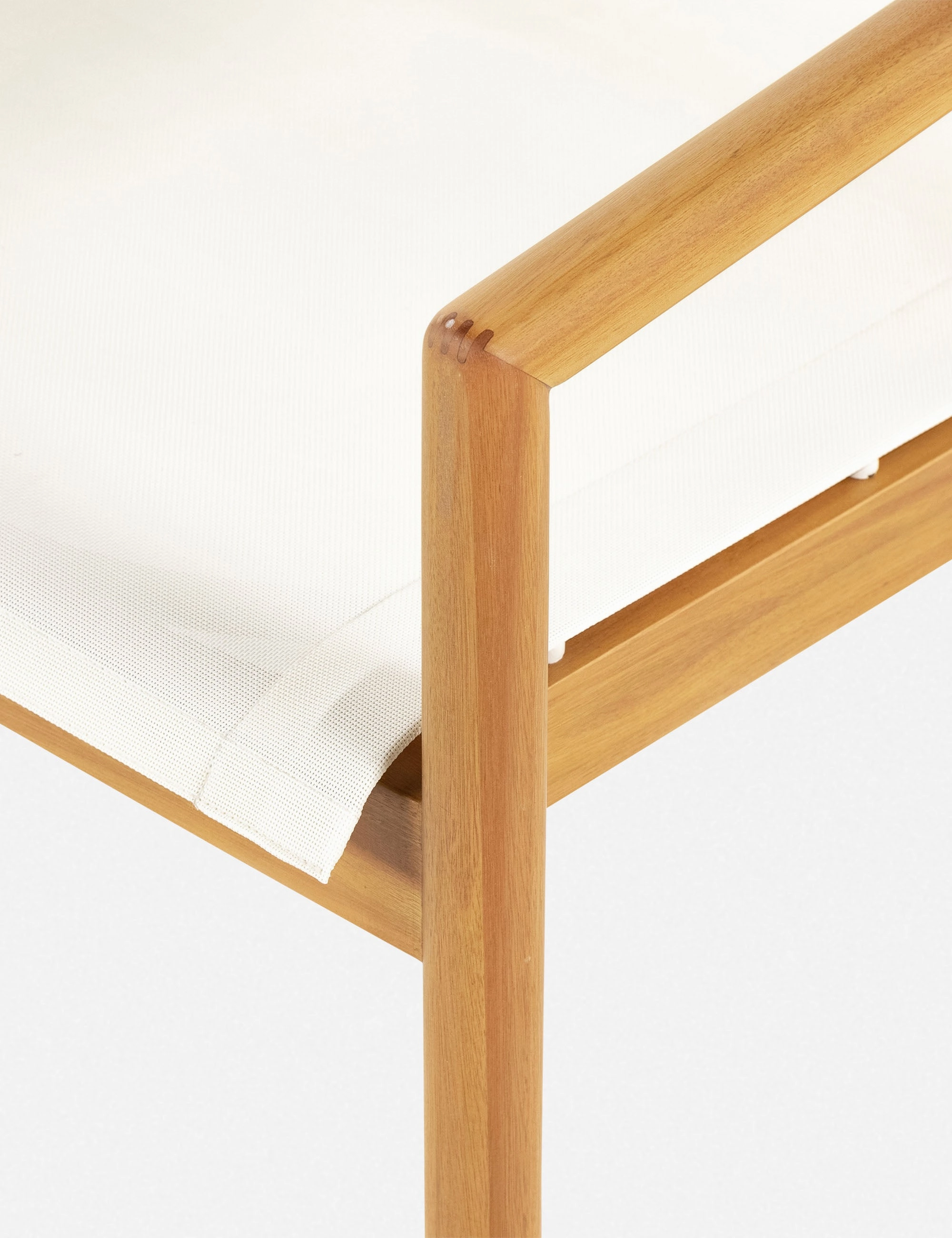 Charise Indoor / Outdoor Accent Chair