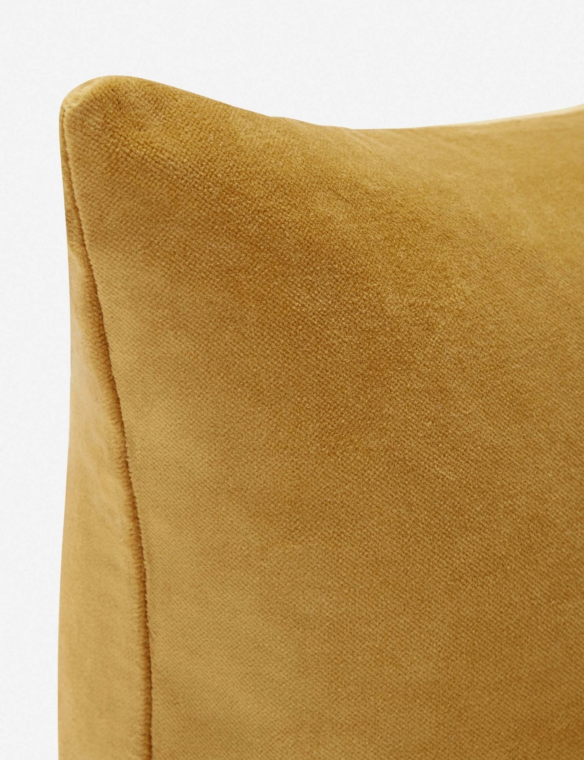 Charlotte Velvet Lumbar Pillow