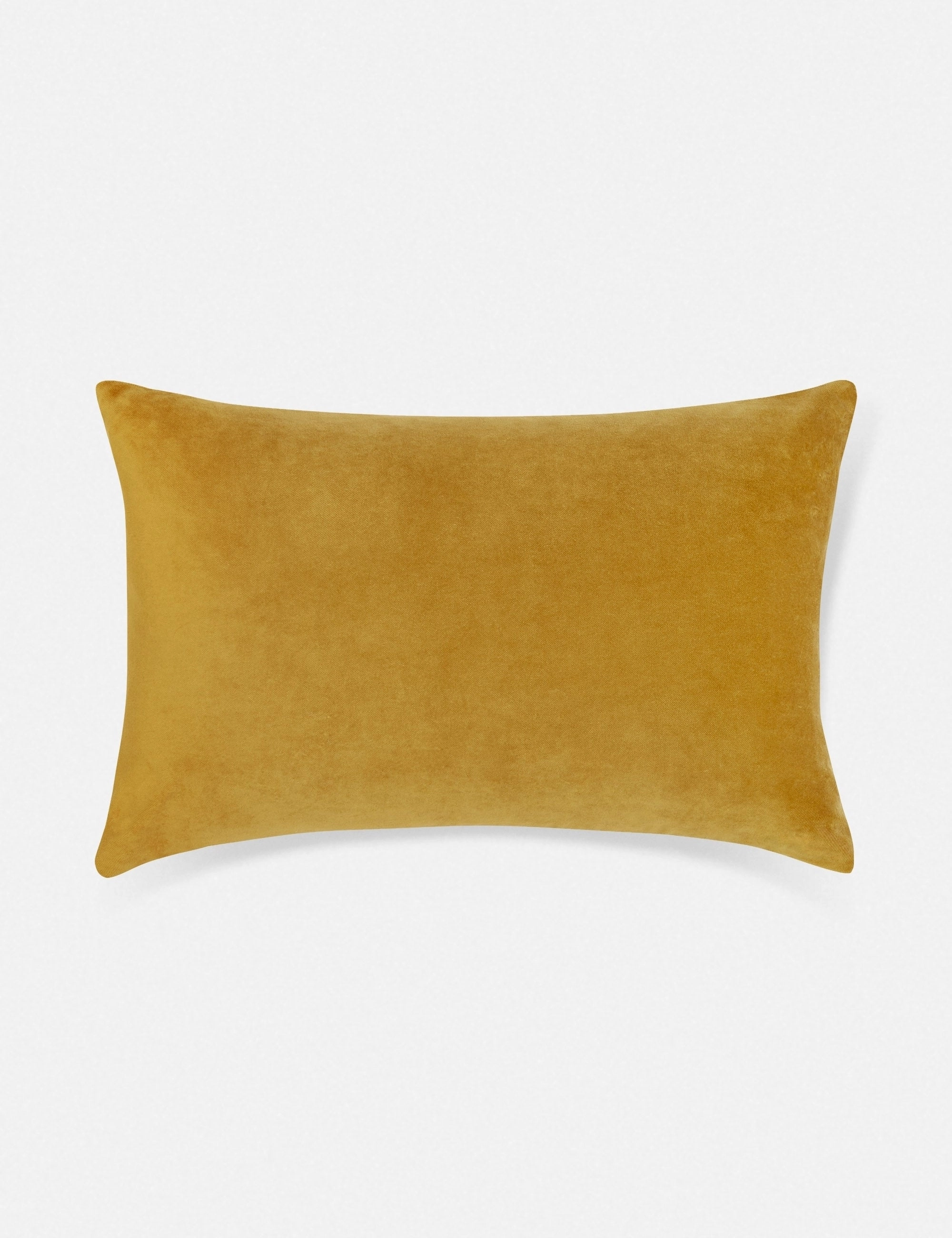 Charlotte Velvet Lumbar Pillow