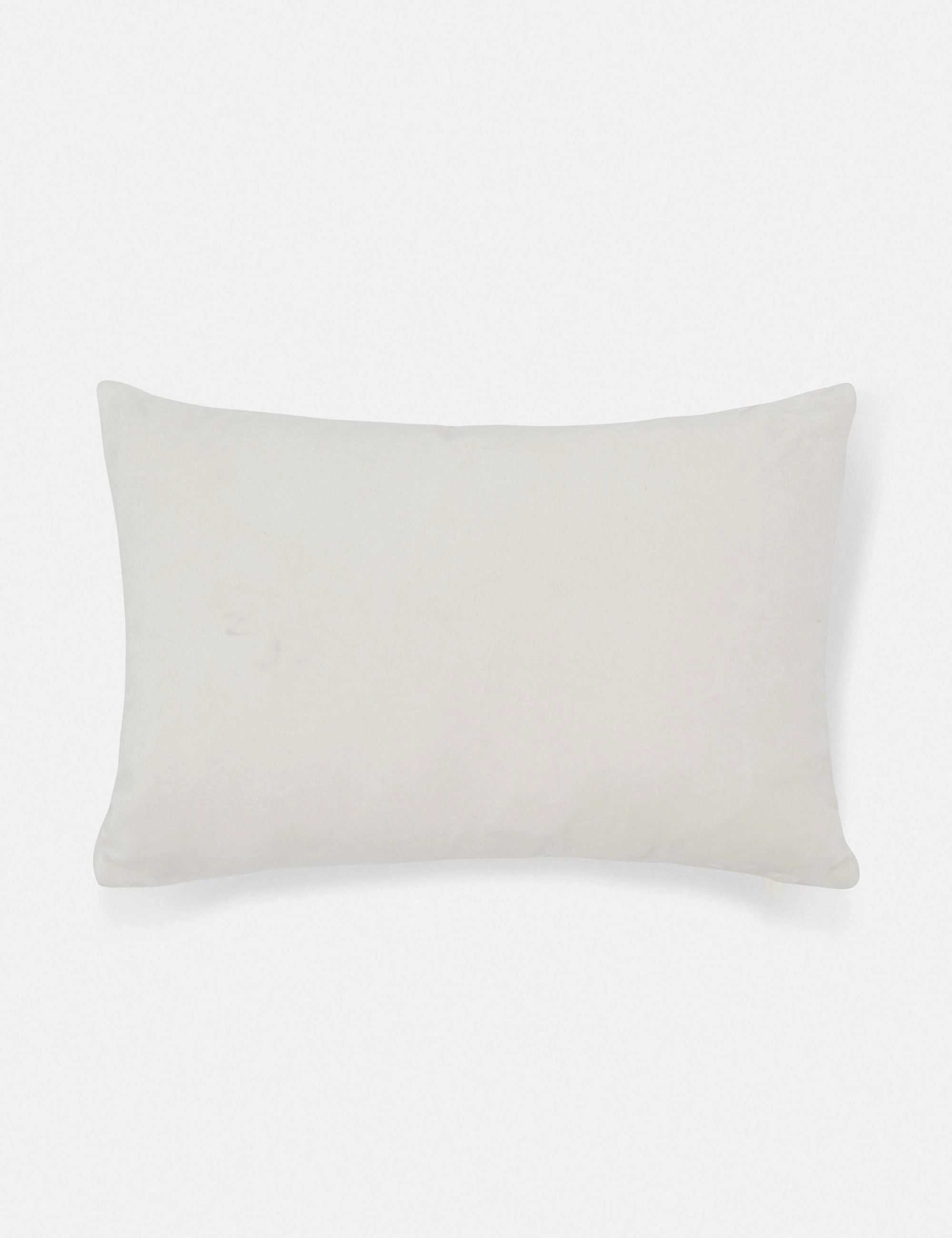 Charlotte Velvet Lumbar Pillow