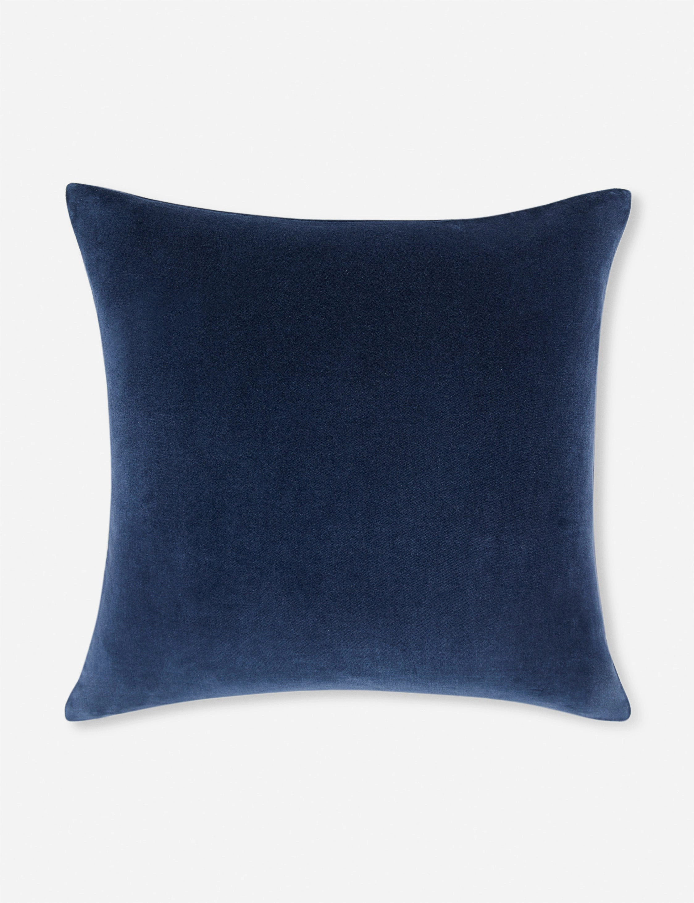 Charlotte Velvet Pillow