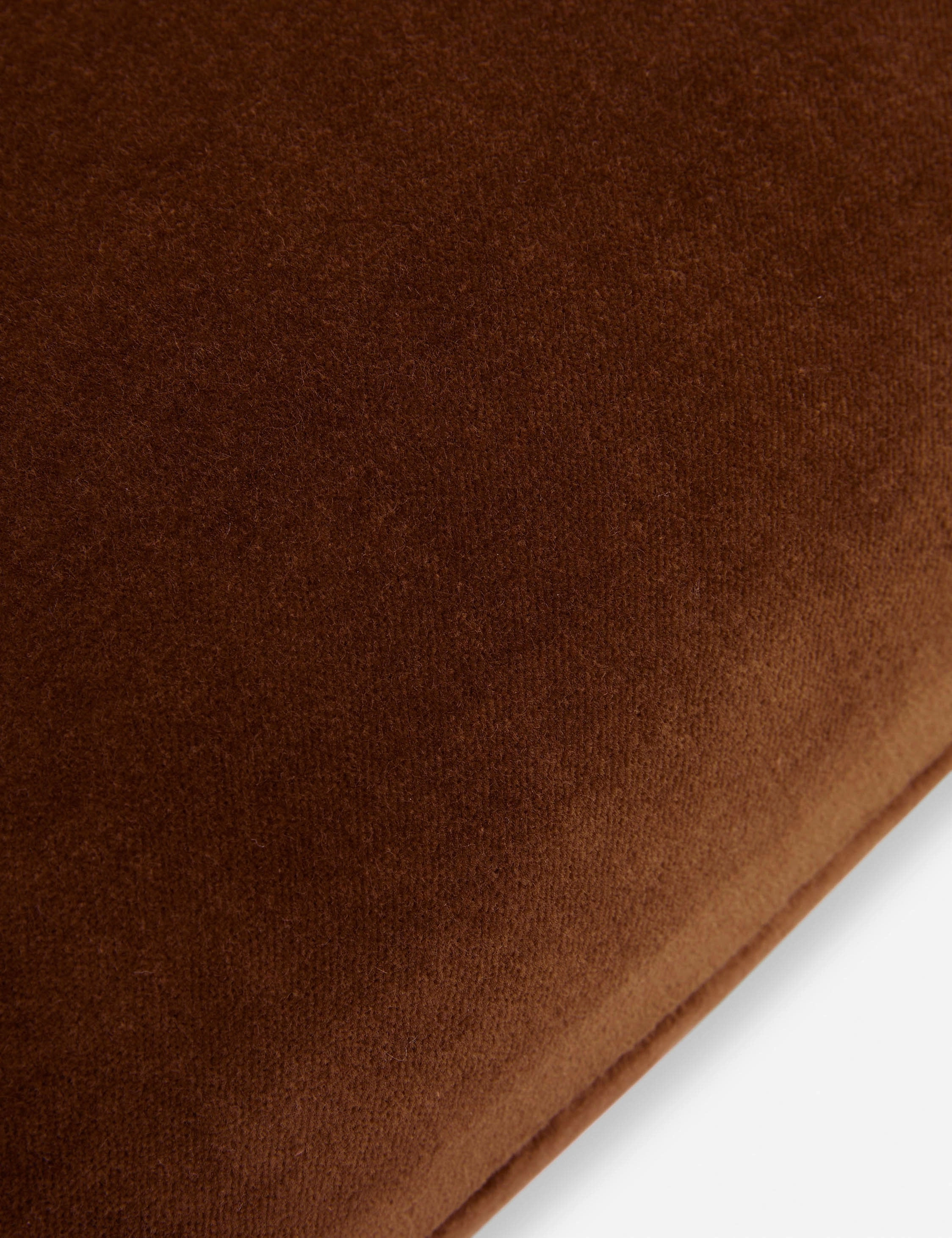Charlotte Velvet Pillow