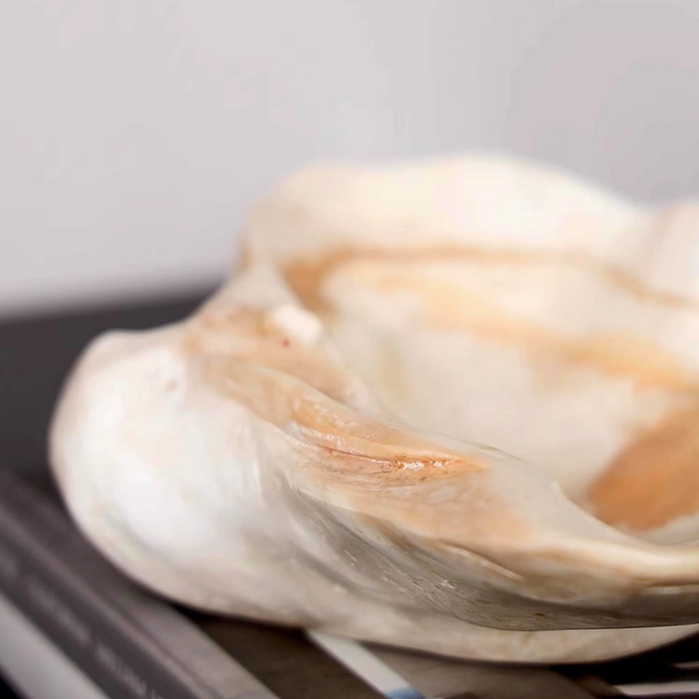 Clam Shell Fruit Bowl