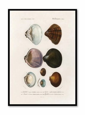 Coastal Curiosities, Posterpop culture themed posters