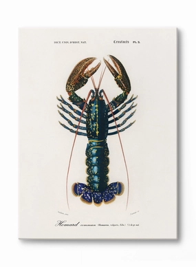 Coastal King, Canvasindoor decorative canvas print