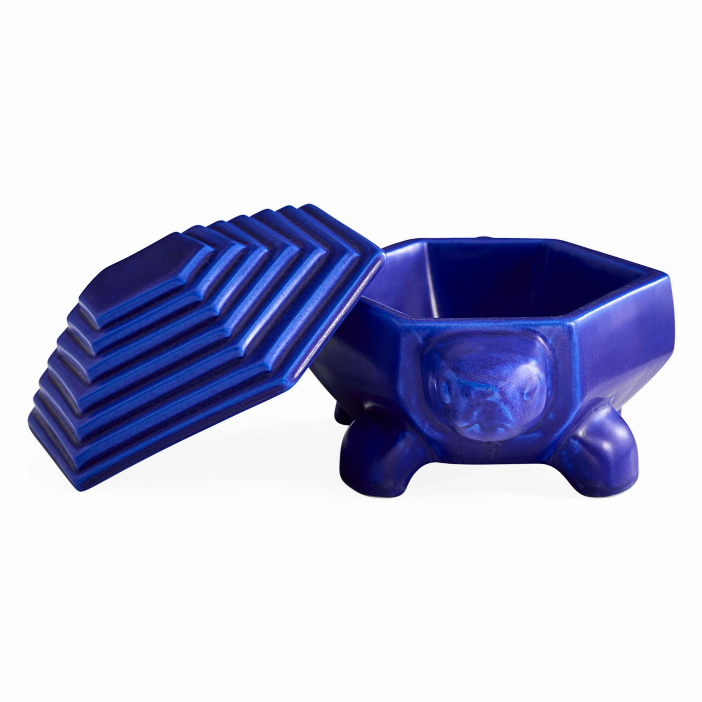 Cobalt Turtle Box