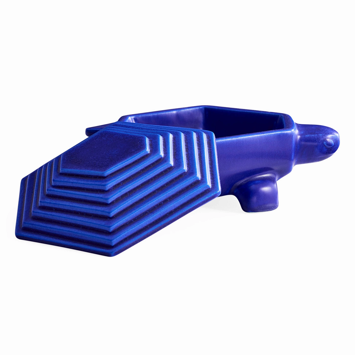 Cobalt Turtle Box