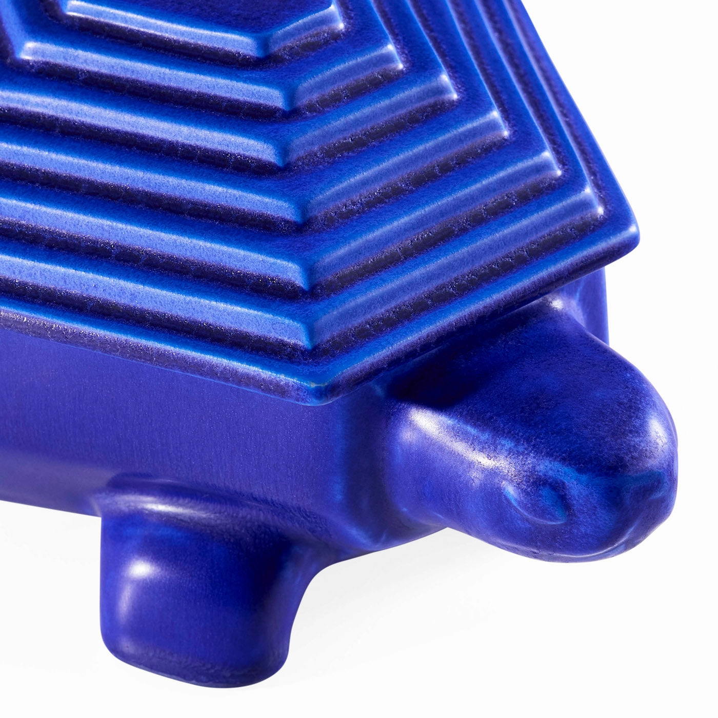 Cobalt Turtle Box