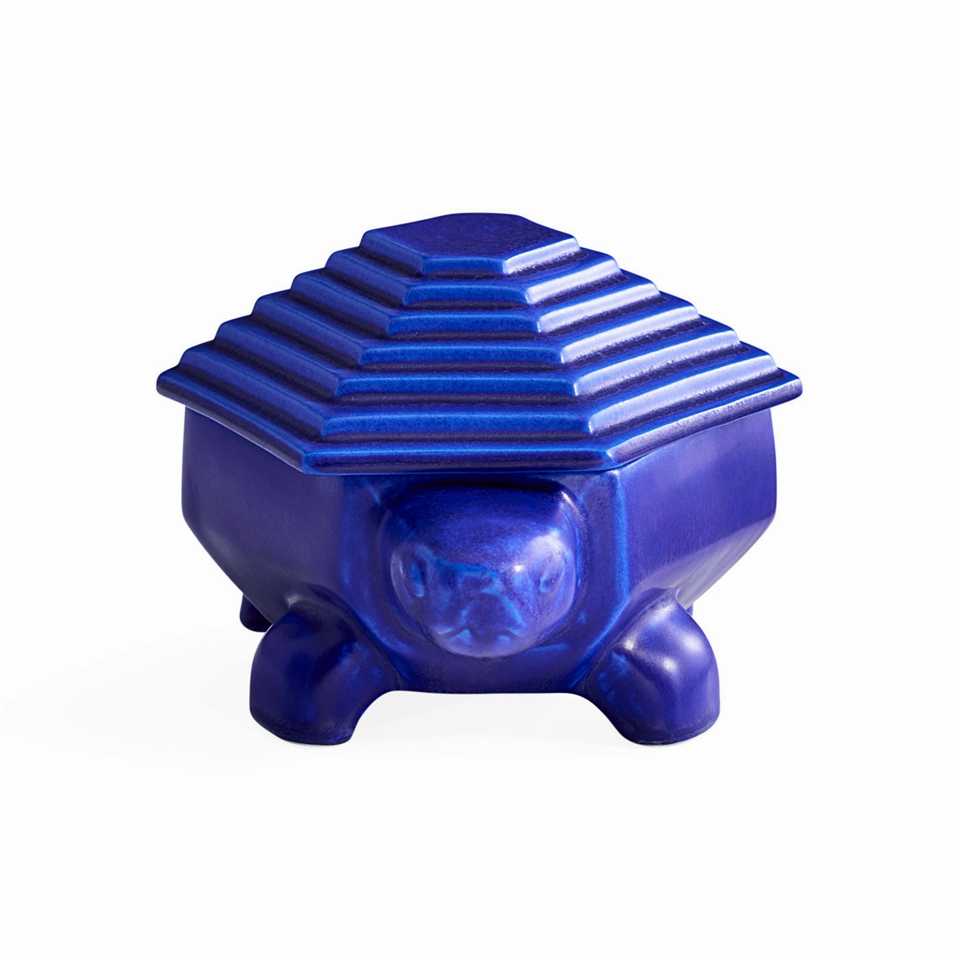 Cobalt Turtle Box