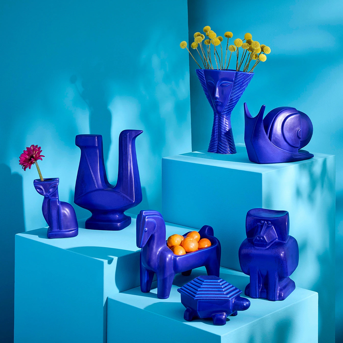 Cobalt Turtle Box
