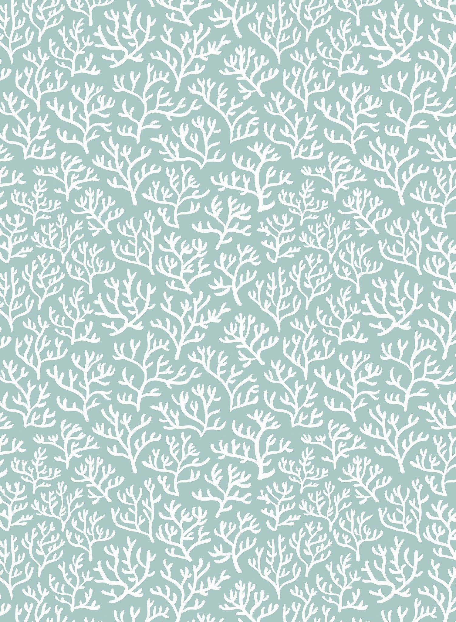 Coral Club, Wallpaper