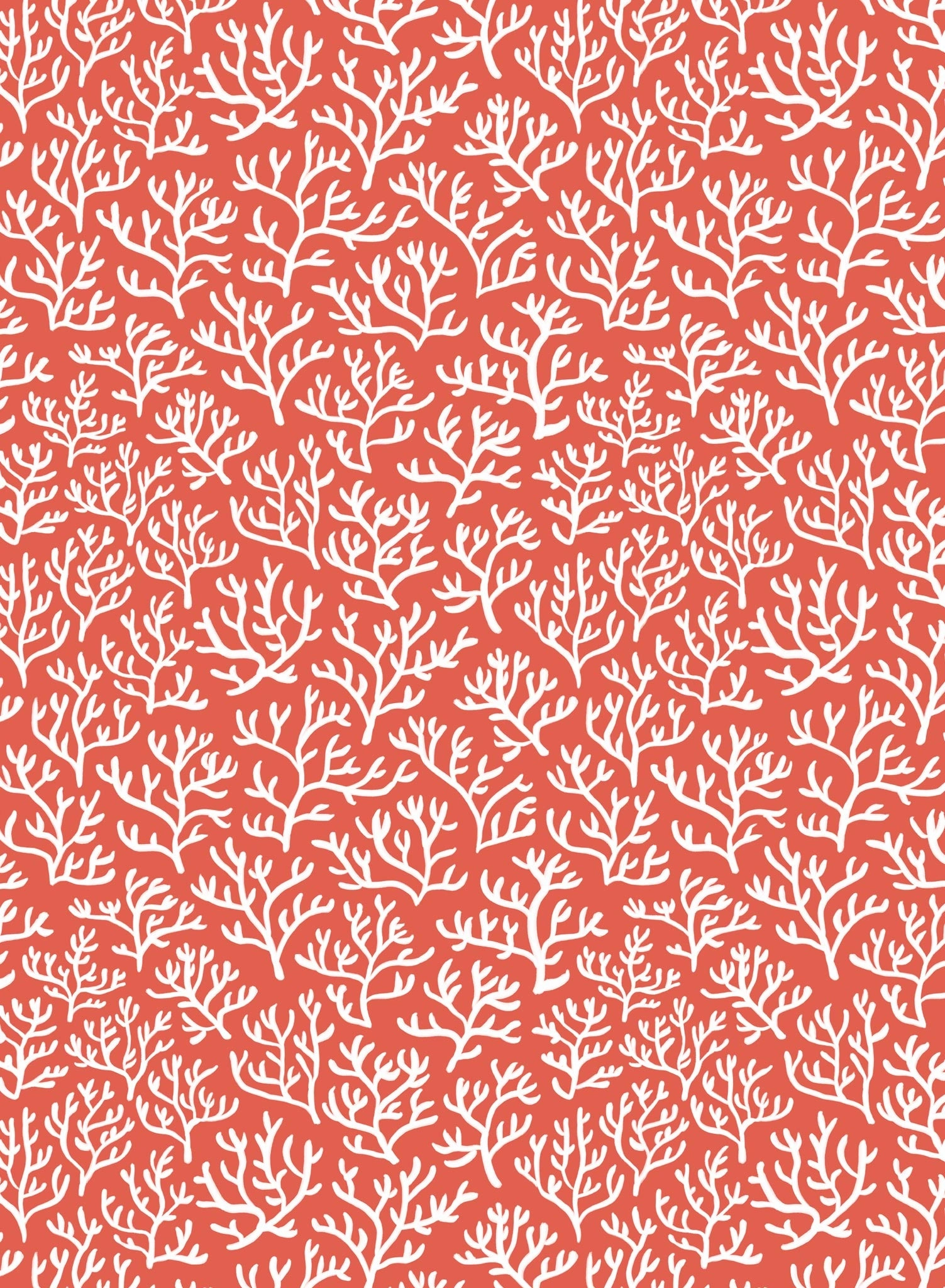 Coral Club, Wallpapernordic minimalist wallpaper