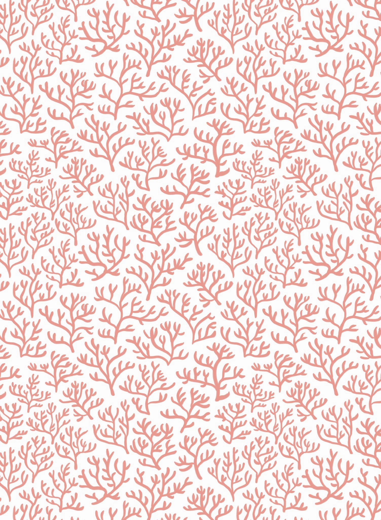 Coral Club, Wallpaper