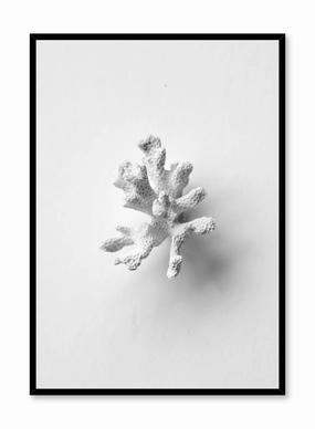 Coral Sprig, Posterpop culture themed posters