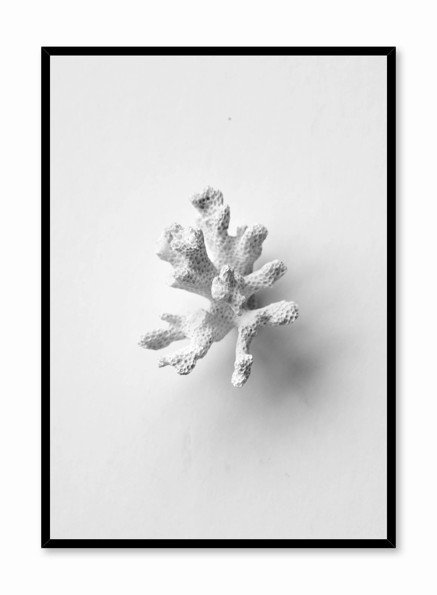 Coral Sprig, Posterpop culture themed posters