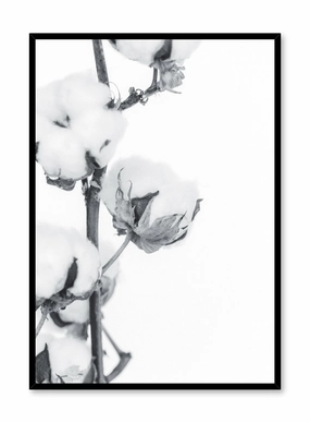 Cotton Clouds in Black and White, Posterpop culture themed posters