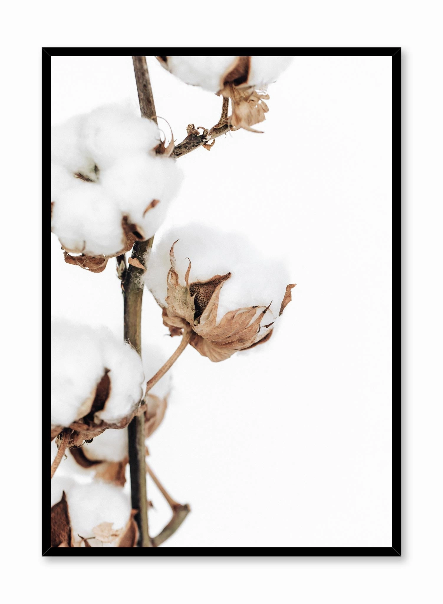 Cotton Clouds, Posterpop culture themed posters