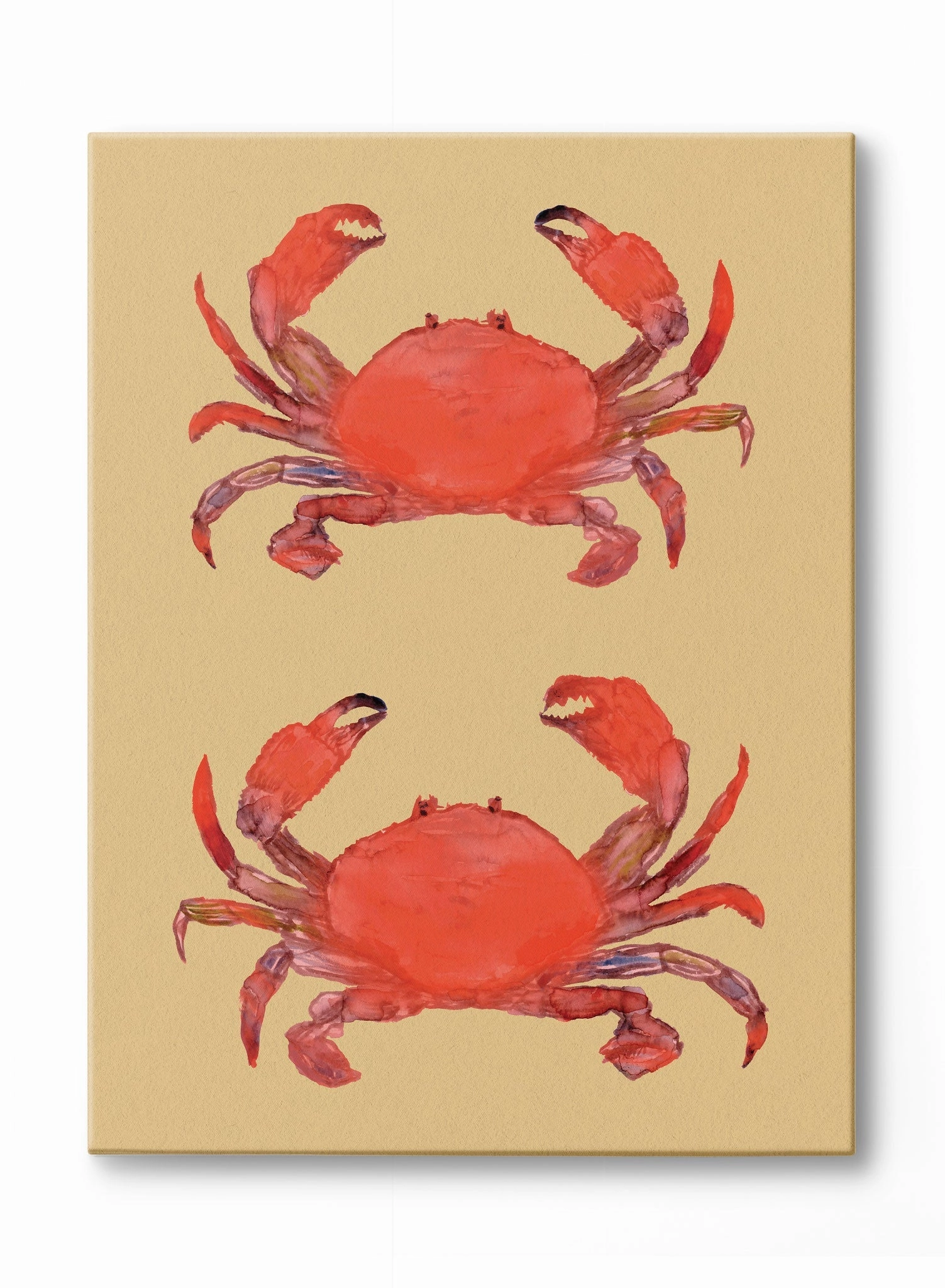 Crab Team, Canvasindoor decorative canvas print