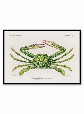 Crab Walk, Posterpop culture themed posters