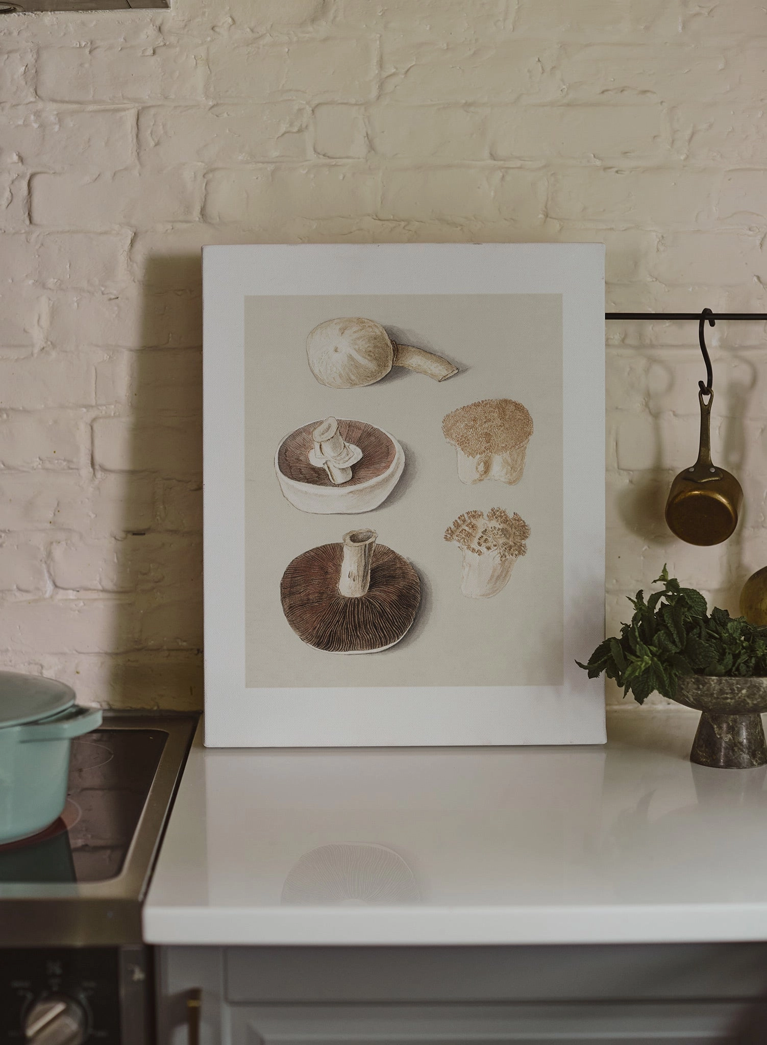 Culinary Fungi, Canvas