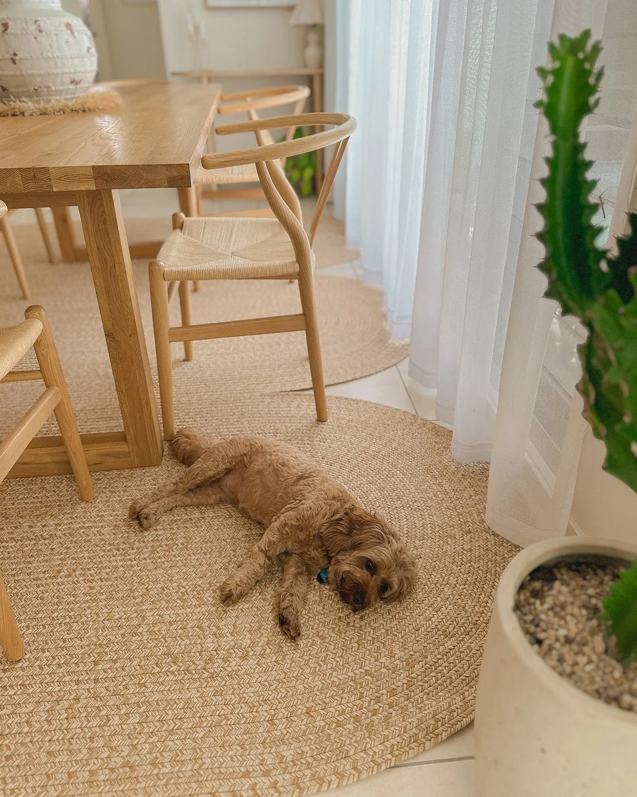 Cynthia Beige Modern Braided Indoor Outdoor Rug *NO RETURNS UNLESS FAULTY
