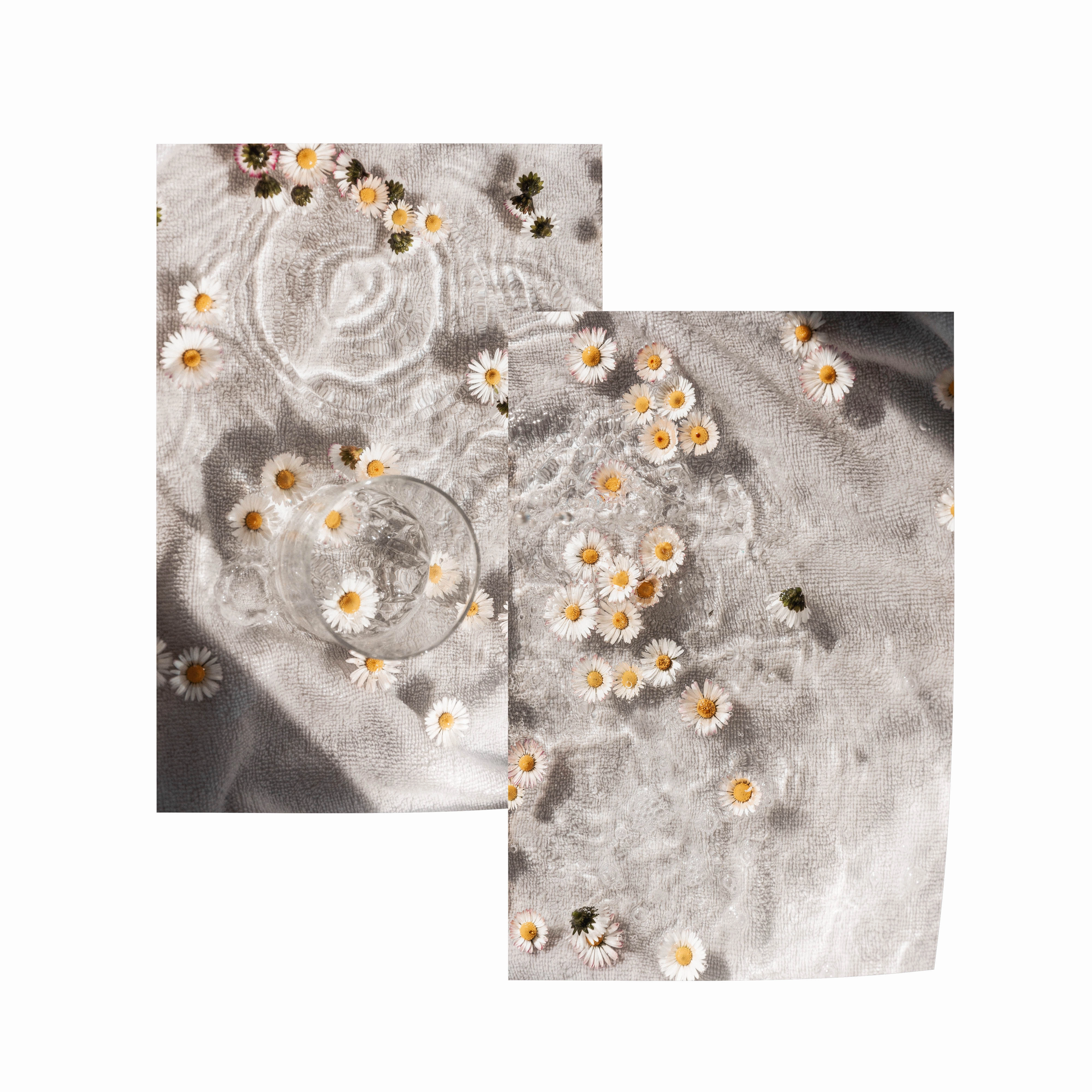 Daisy Flow Set INCLUDES TWO PRINTS