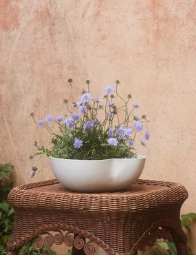 Dempsy Low Planter by Sarah Sherman Samueloutdoor wrought iron plant stand