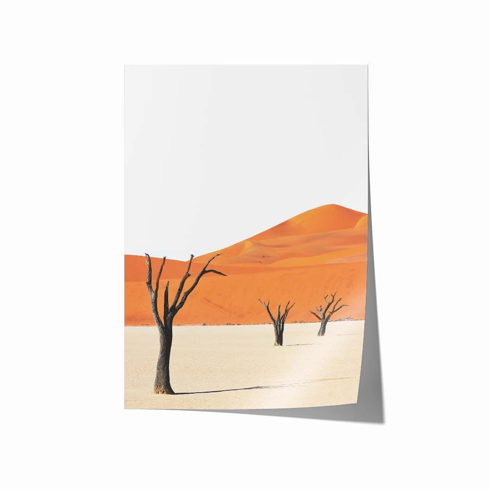 Desert House Portrait