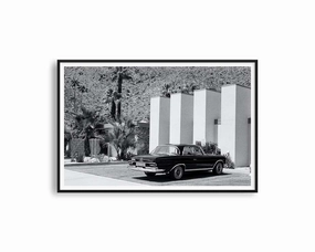 Desert Palmnordic style wall decor