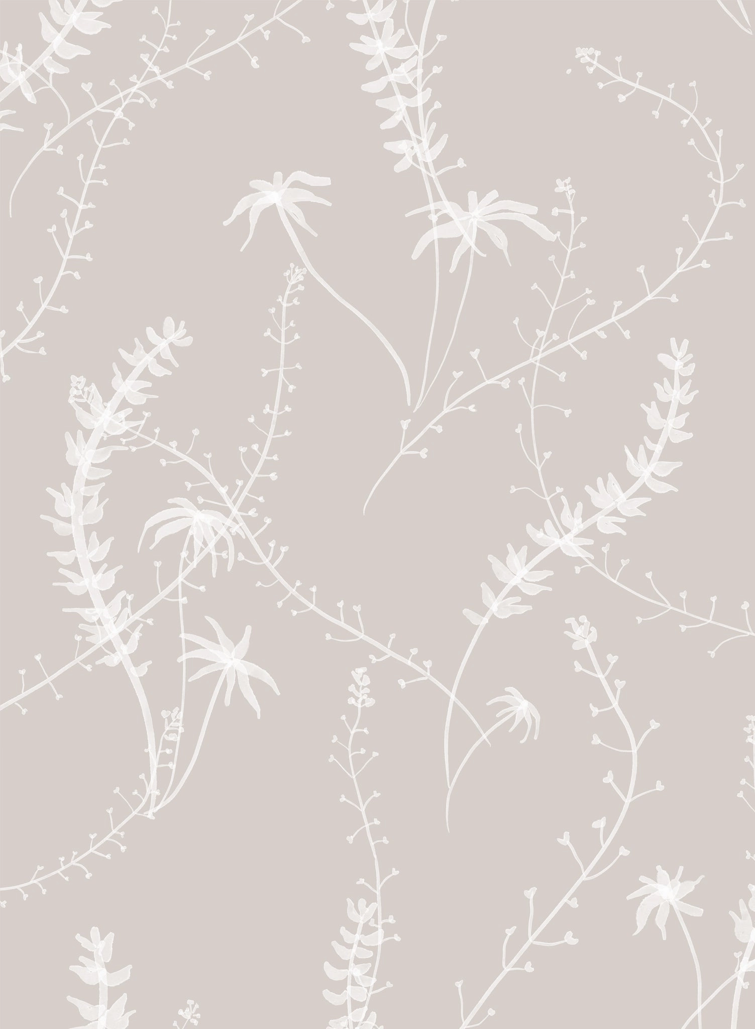 Diaphanous, Wallpapernordic minimalist wallpaper