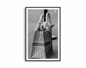 Dior Poochnordic style wall decor