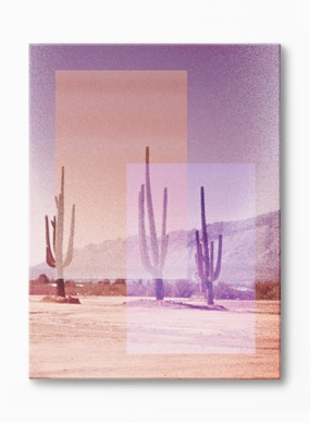 Disco Desert, Canvasindoor decorative canvas print