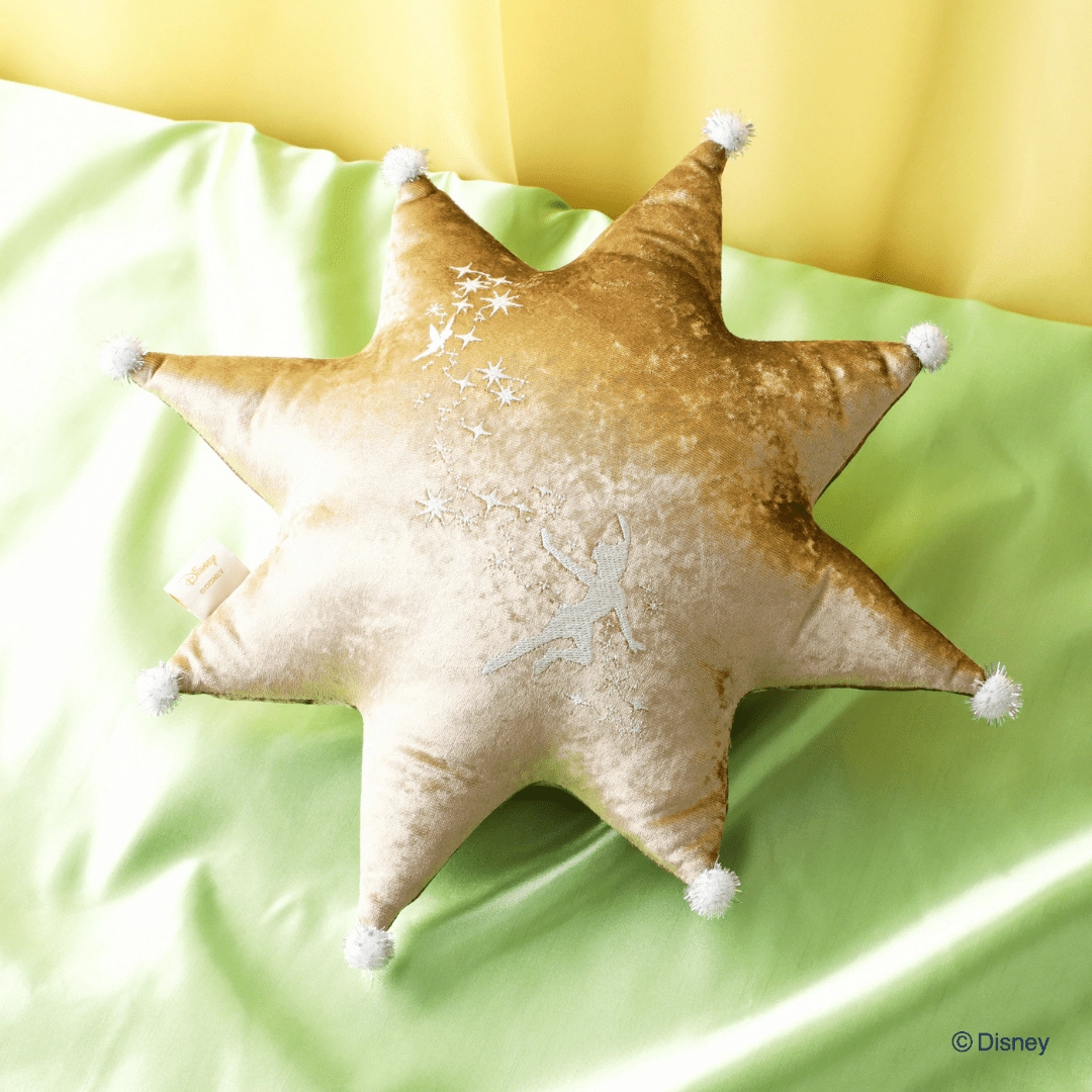 Disney Magic Of Chemistry  Peter Pan Cushion