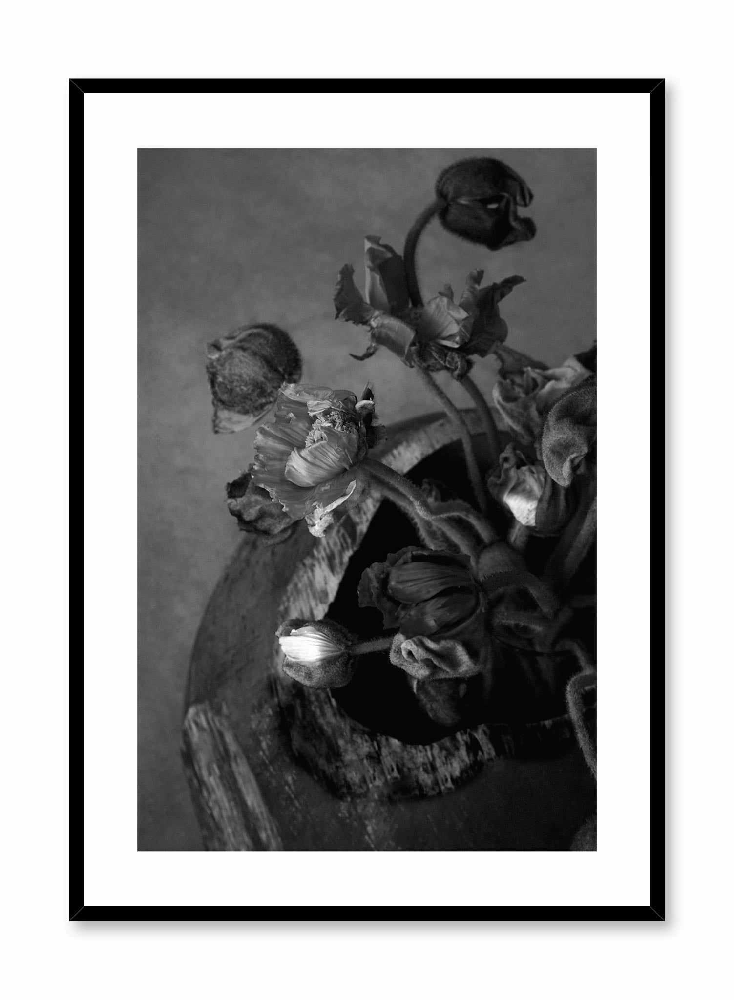 Dried Bouquet, Posterpop culture themed posters