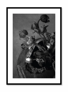 Dried Bouquet, Posterpop culture themed posters