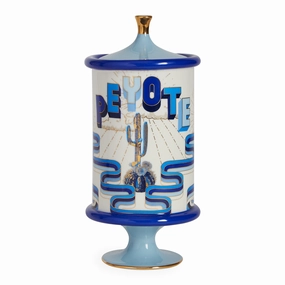 Druggist Peyote Canistermodern kitchen decor ,kitchen dinner set ,dinnerware 