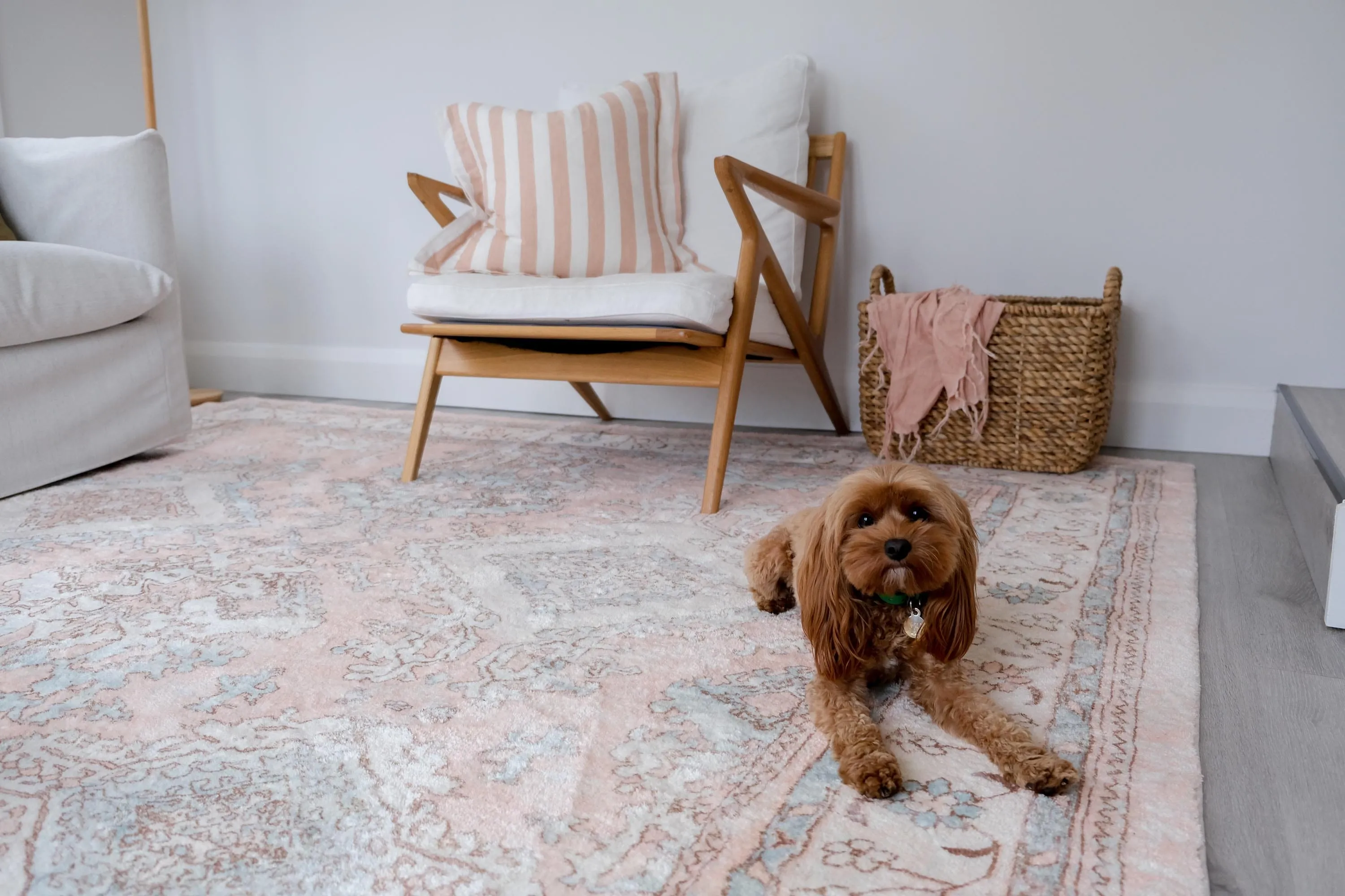 Edwina Peach and Blue Distressed Washable Rug
