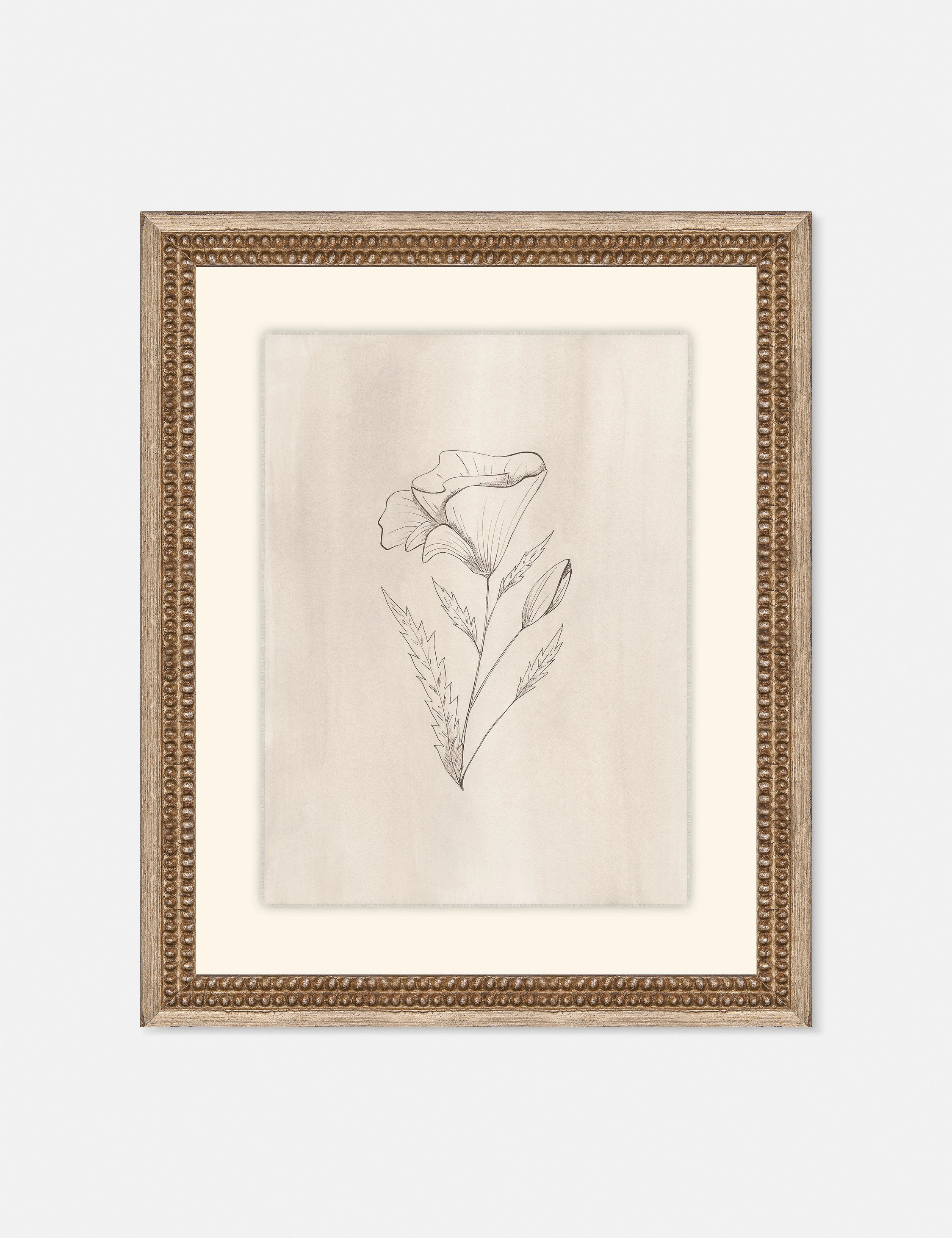 Elegant Botanical III Wall Art by Makai Howellnordic style wall decor