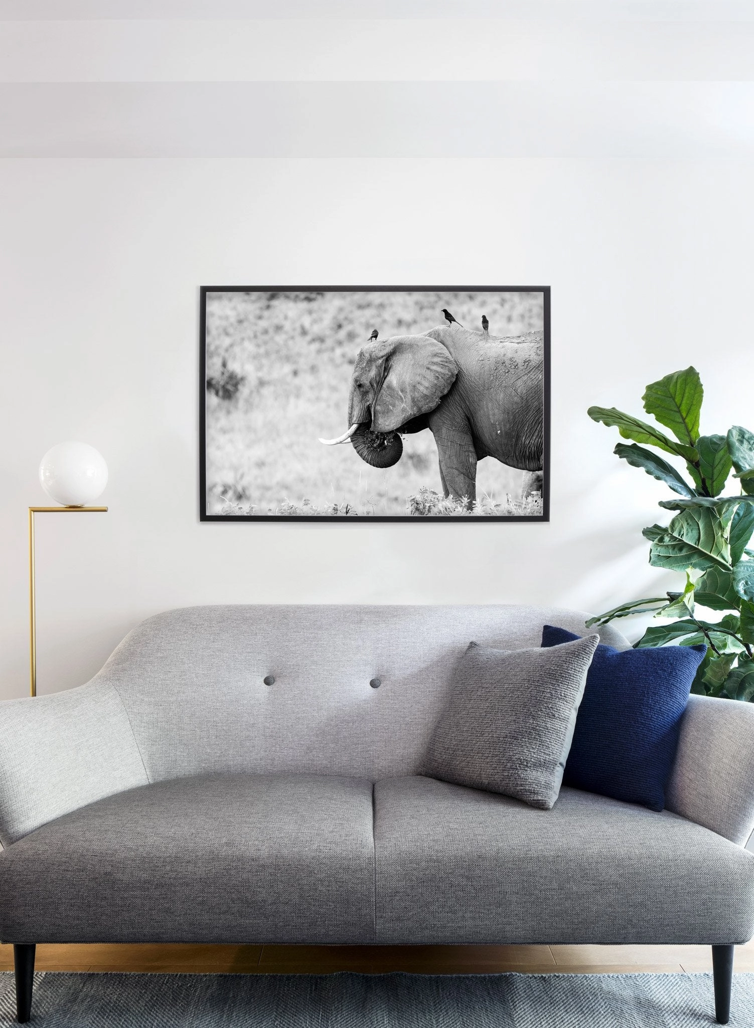 Elephant, Poster