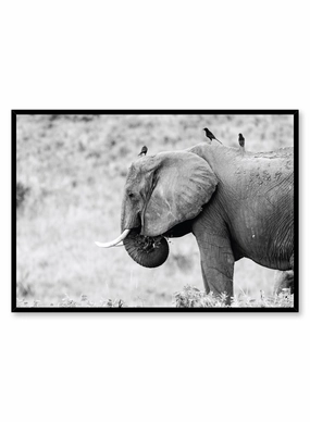 Elephant, Posterpop culture themed posters