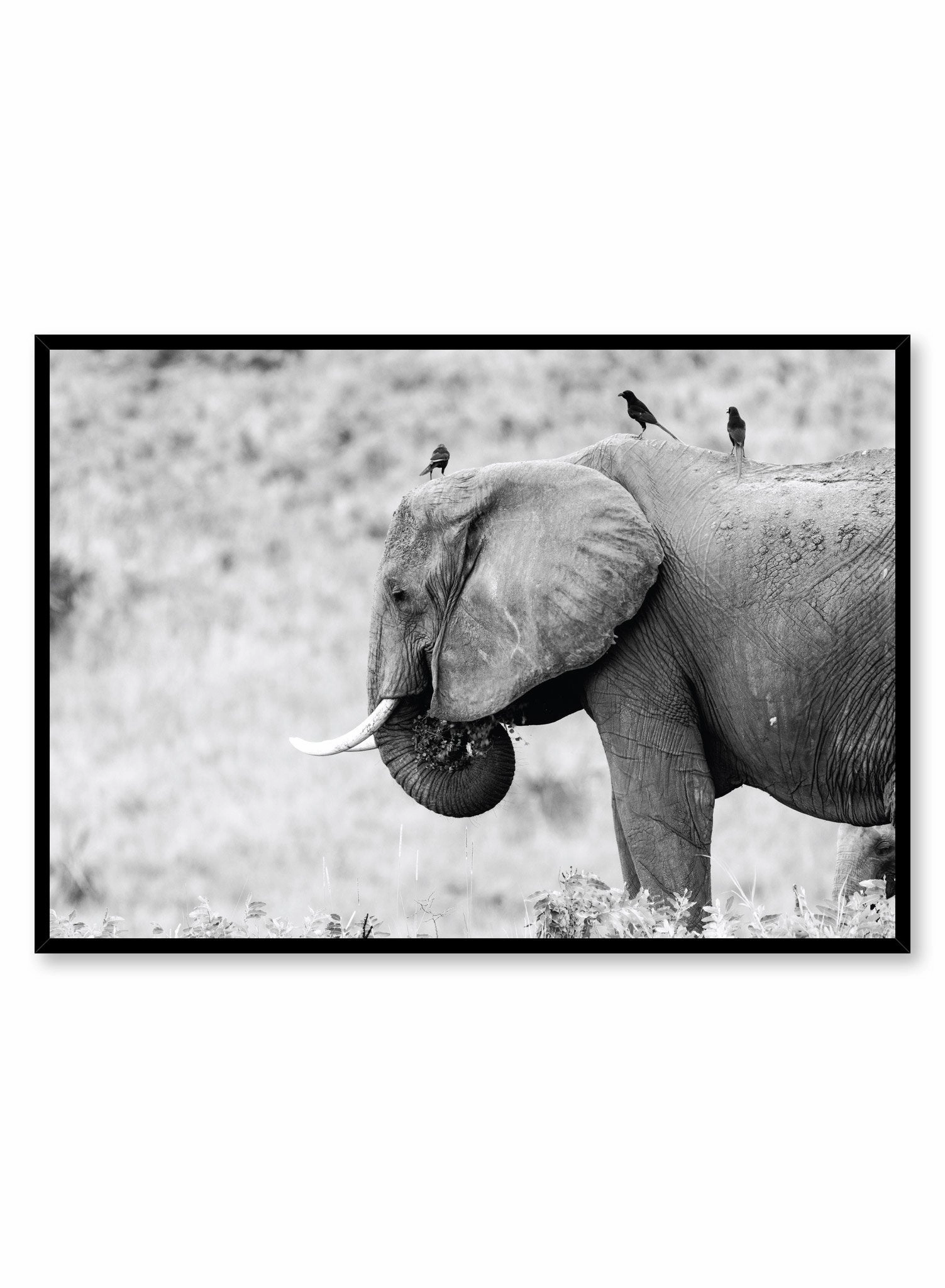Elephant, Posterpop culture themed posters
