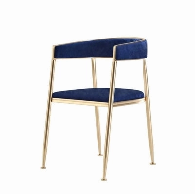 Ella Velvet Dining Chairs with Gold Legs (Set of 2)