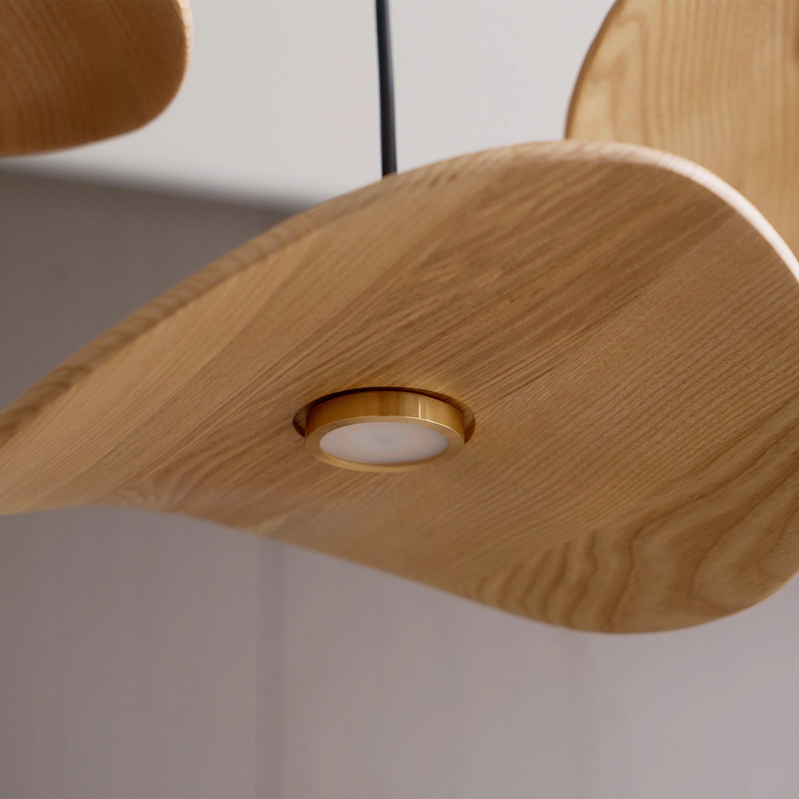 Empty Leaf Chandelier