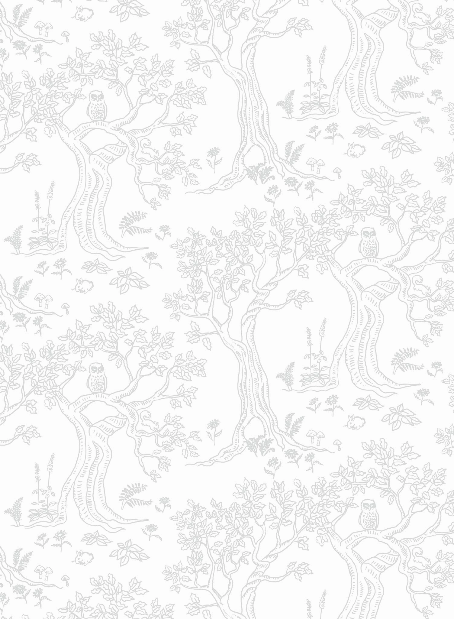 Enchanted, Wallpaper