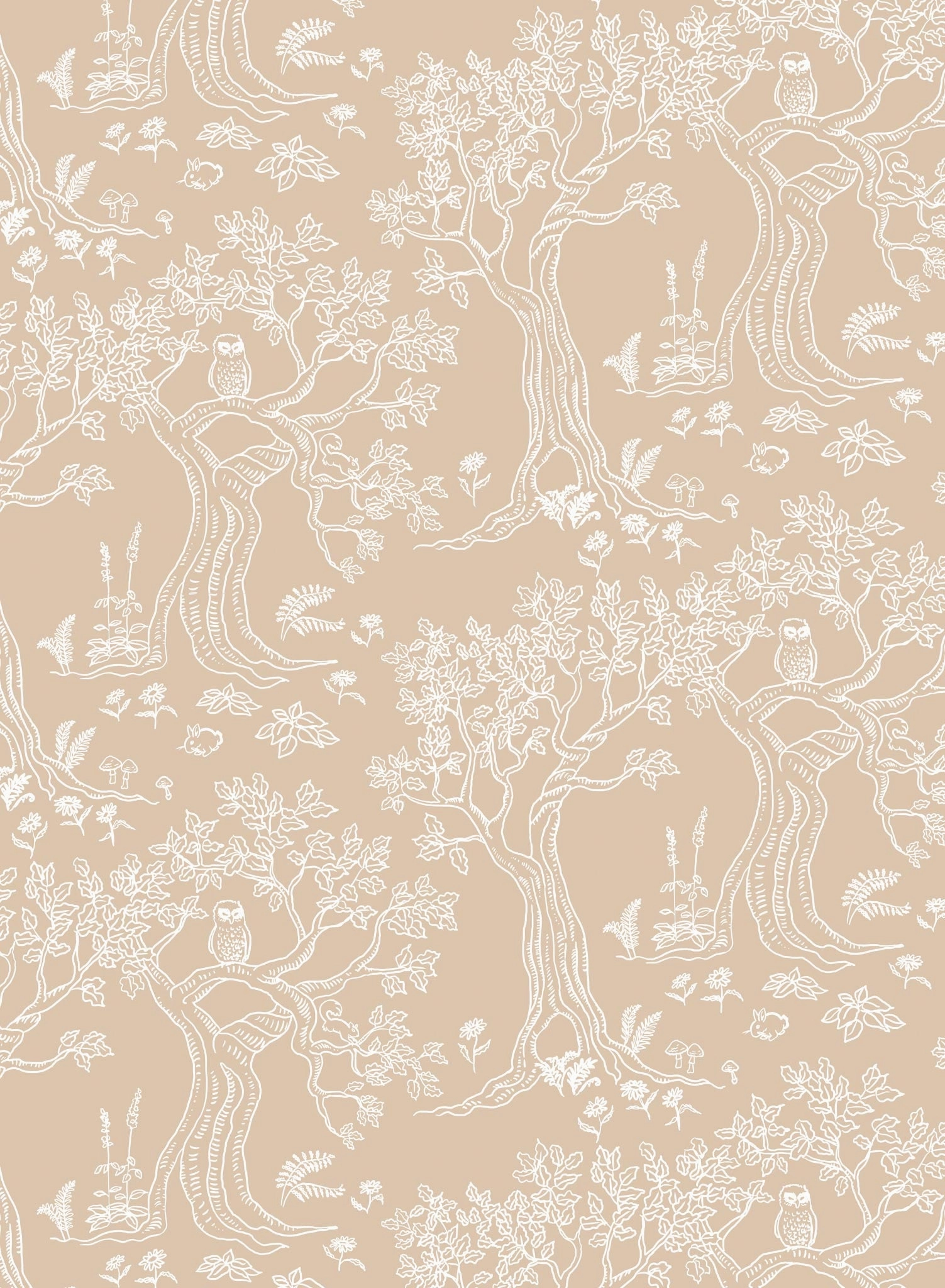 Enchanted, Wallpaper