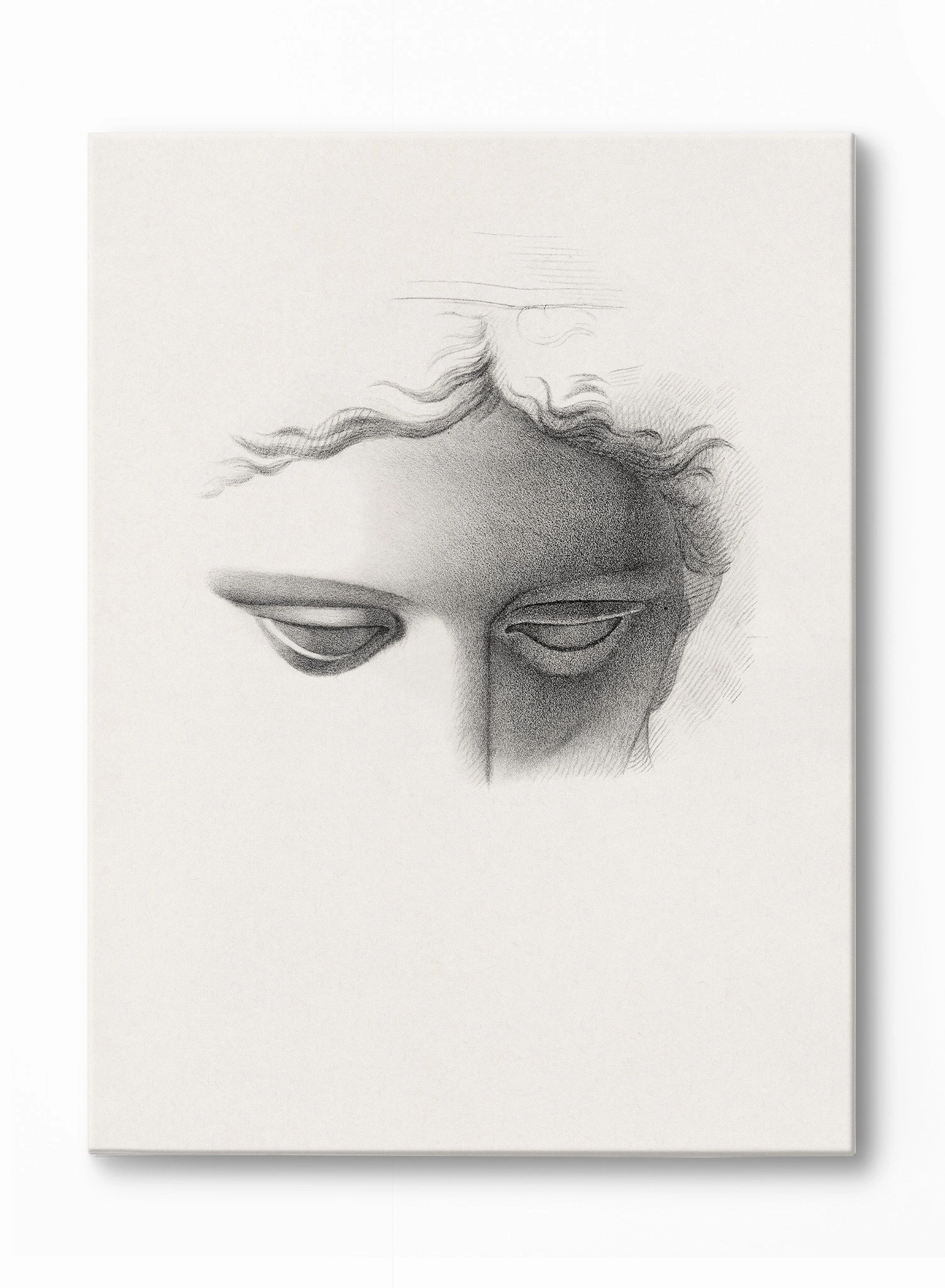 Eternal Gaze, Canvasindoor decorative canvas print
